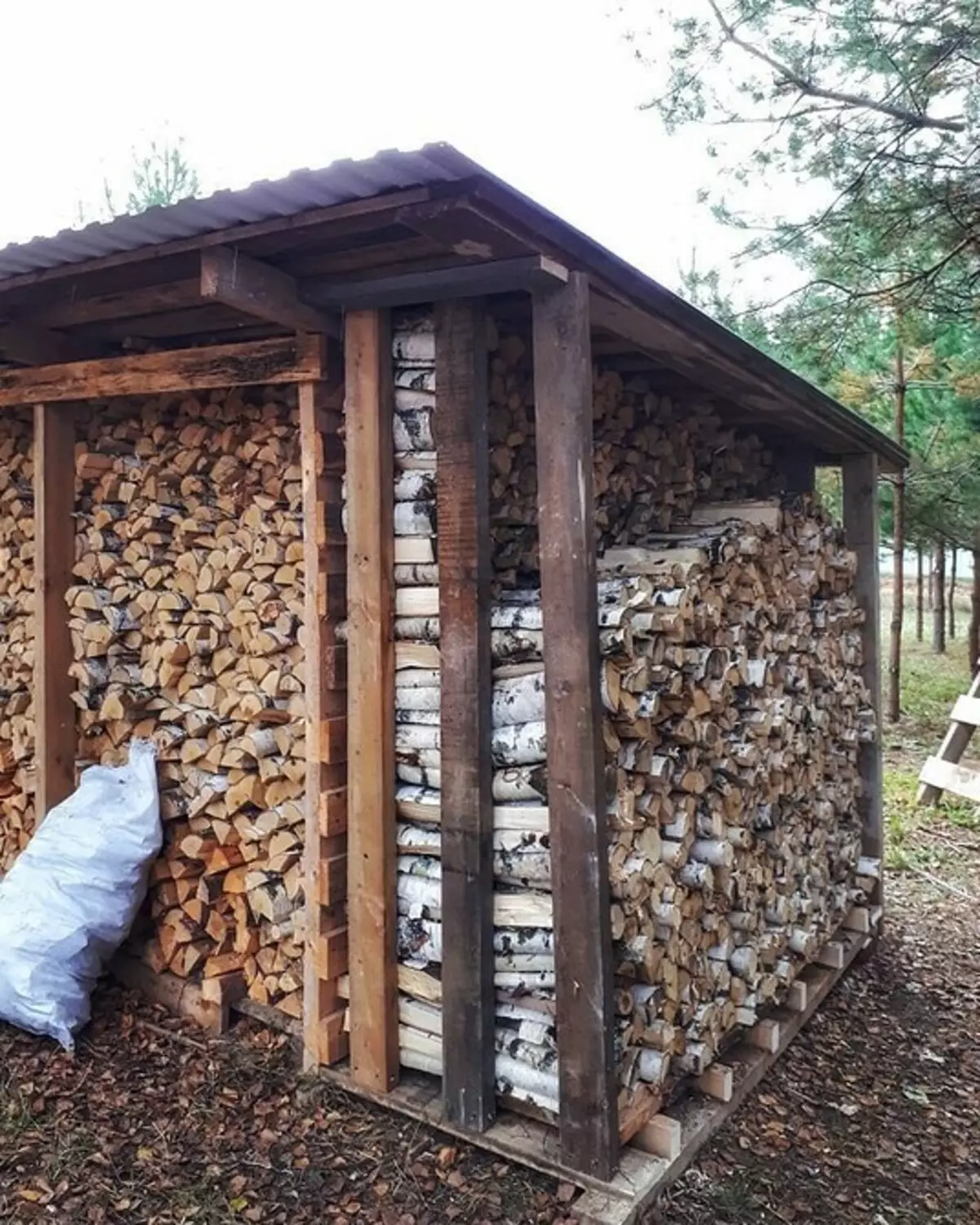Kako zgraditi lesnega lesa za dajanje lastnih rok: korak-po-koraka navodila 5859_28