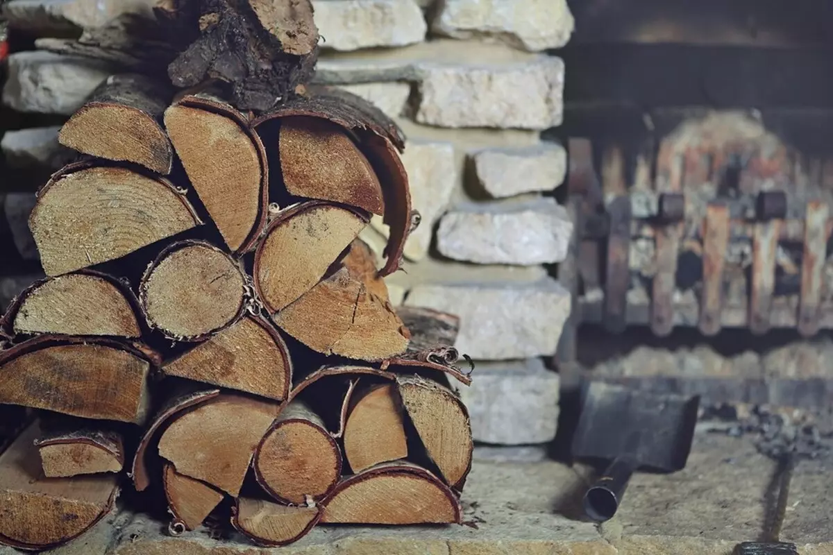 Cum de a construi un lemn de lemn pentru a da cu mâinile tale: instrucțiuni pas cu pas 5859_3