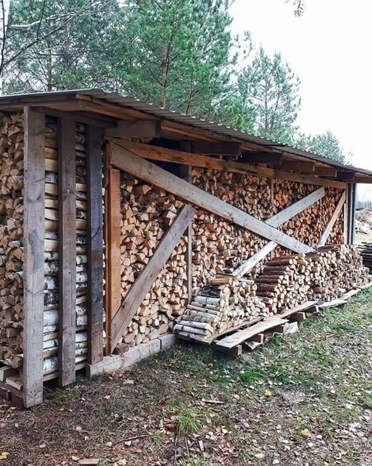 Com construir una fusta de fusta per donar les seves pròpies mans: instrucció pas a pas 5859_7