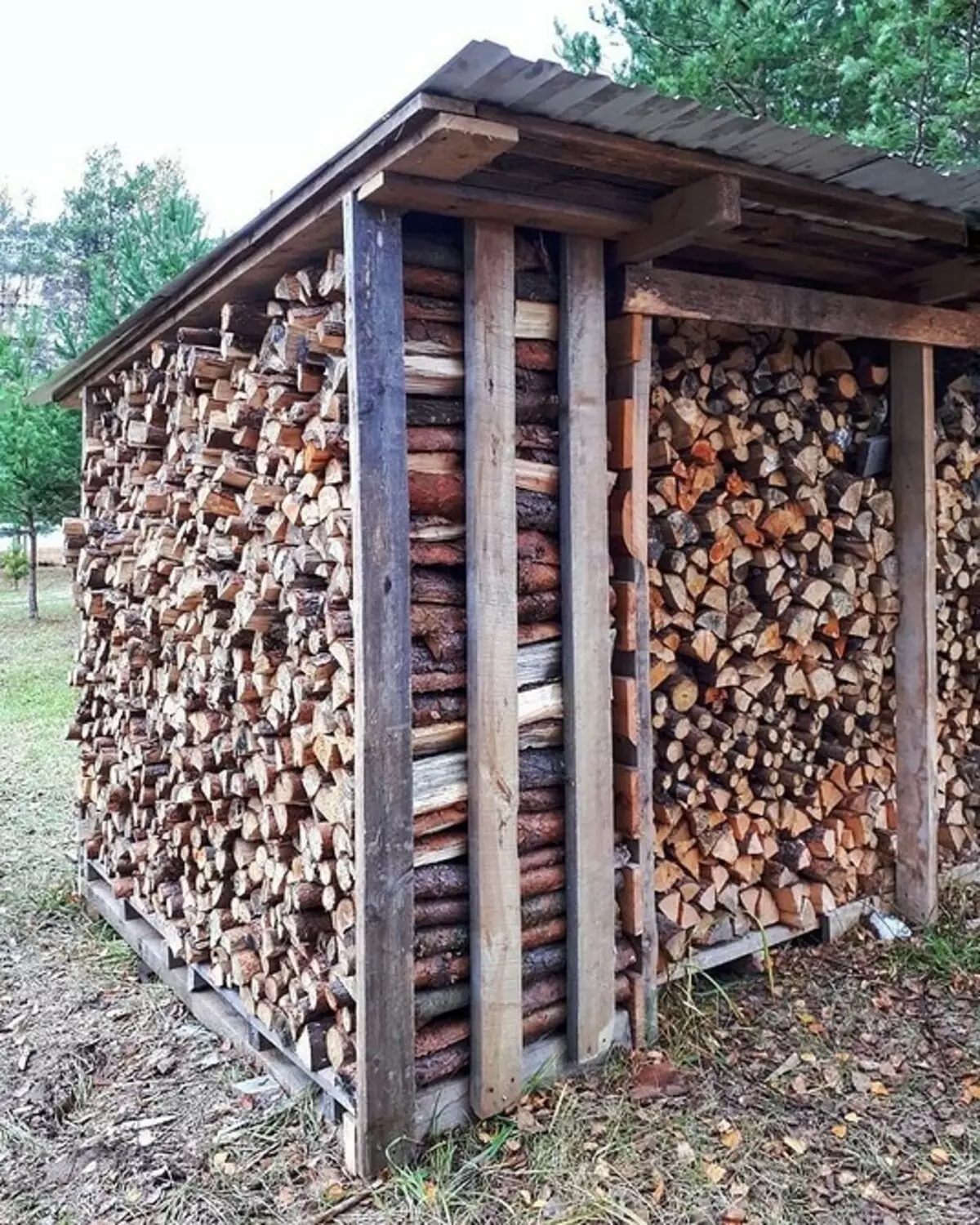 Kako zgraditi lesnega lesa za dajanje lastnih rok: korak-po-koraka navodila 5859_8