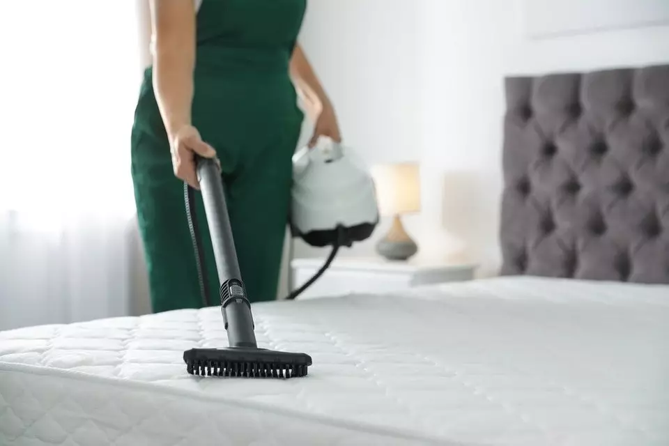 Bagaimana untuk membersihkan tilam di rumah: Tips dan resipi berguna 5889_7
