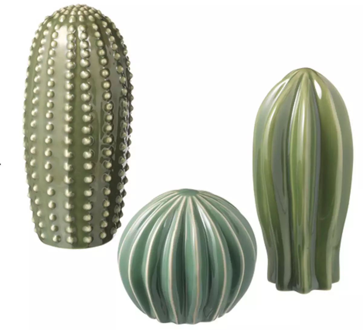 Set kaktuskih dekoracija