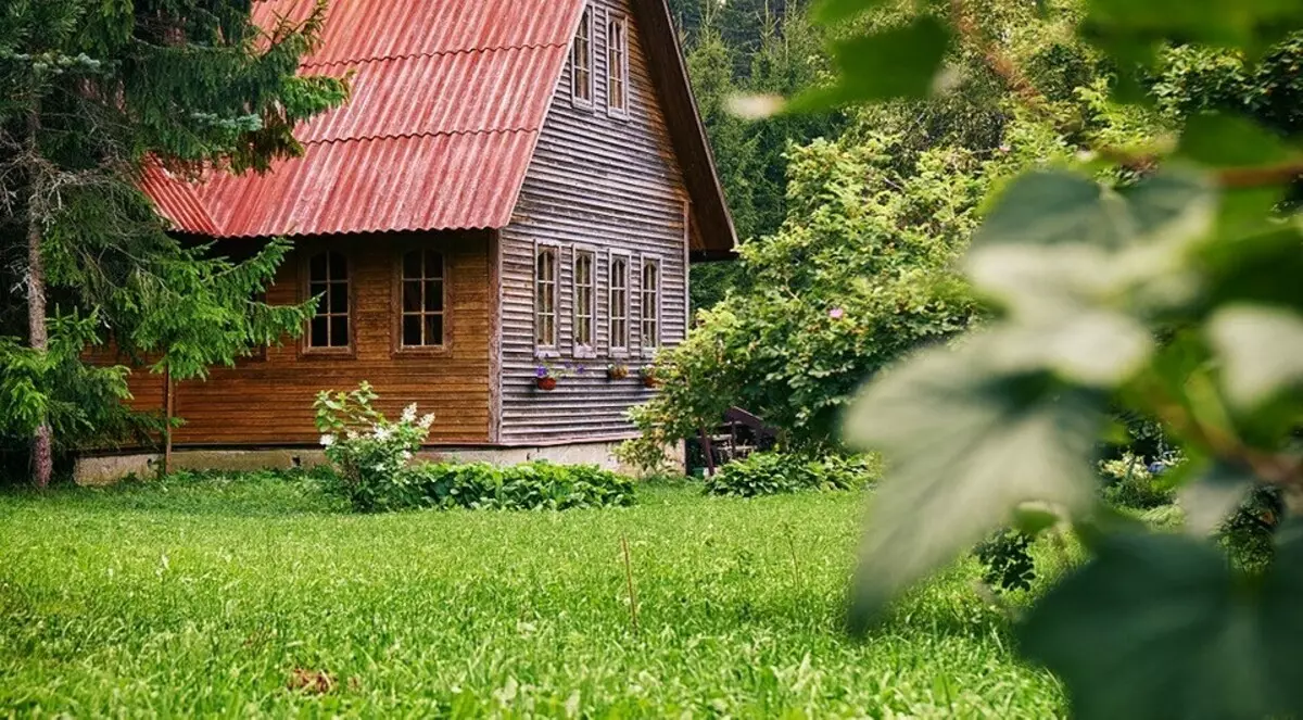 Como se livrar das formigas no jardim de uma vez por todas