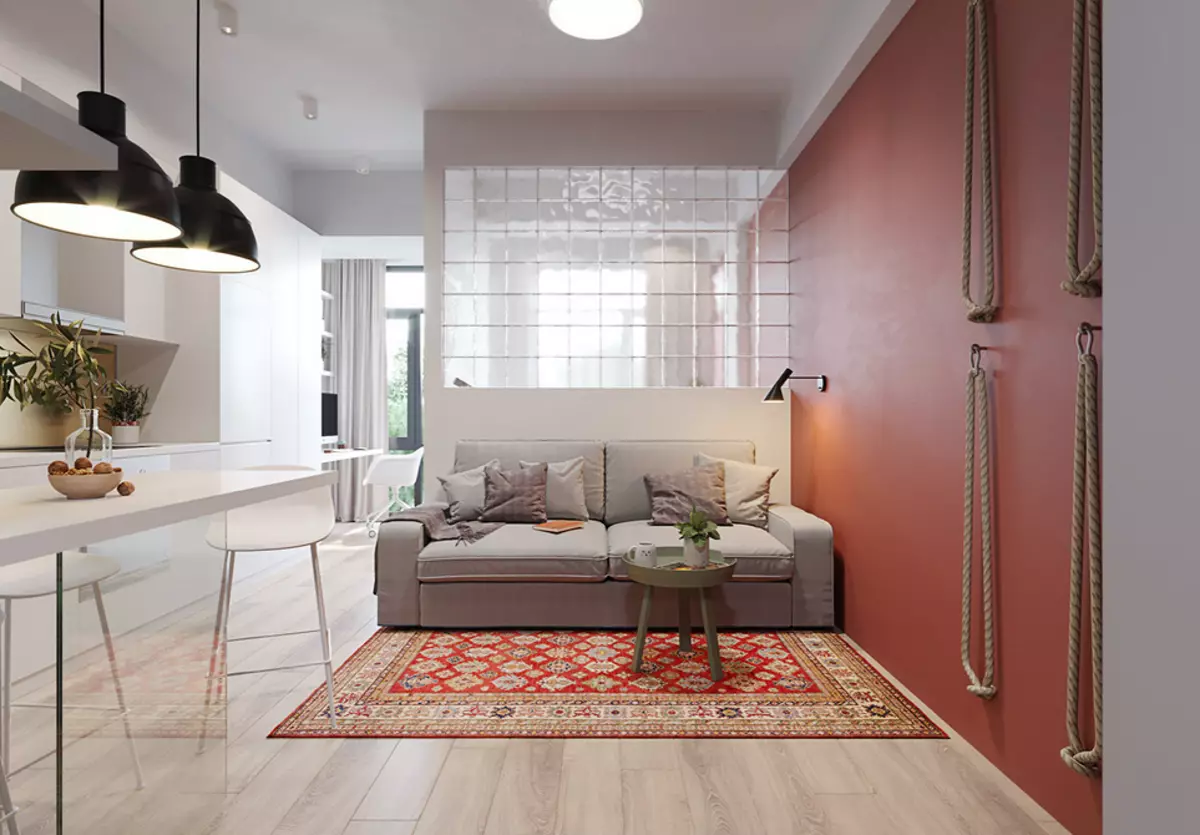 Design apartman stúdió 30 négyzetméter. M: 10 valódi példa (és hozza meg őket, hogy ismételje meg) 6041_76