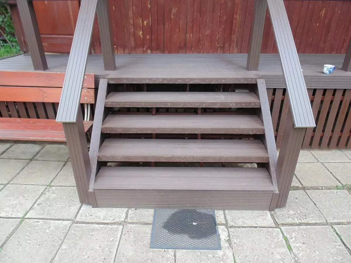 Jak udělat kroky na veranku ze dřeva a DPK to udělat sami: krok za krokem 6051_62