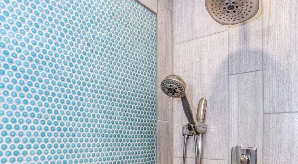 Hoe uitrusten in de douche van het appartement in plaats van een bad: een gedetailleerde gids om opnieuw te installeren 6209_18