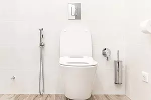 Wéi ze wielen an korrekt hygienesch Dusch fir Toilette ze installéieren 6221_1