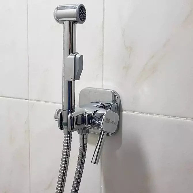 Bagaimana untuk memilih dan betul memasang pancuran mandian yang bersih untuk tandas 6221_35