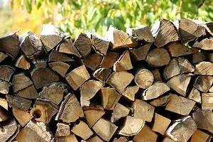 Sklizeň dřeva pro vlastní potřeby: správná technologie a všechny legální jemnosti 6318_1
