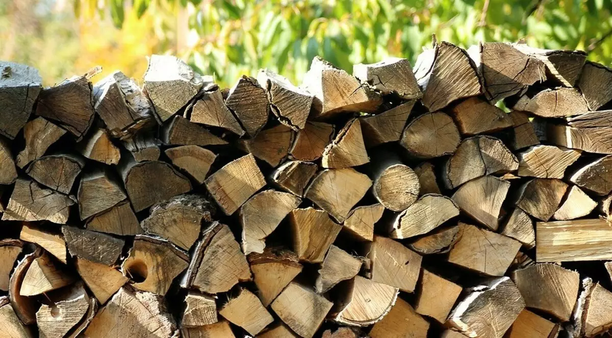 Récolte du bois de chauffage pour ses propres besoins: bonne technologie et toutes les subtilités légales