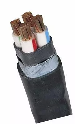 Hoe kabels en draden op de plot en in het huis te pennen: gedetailleerde gids 6356_14