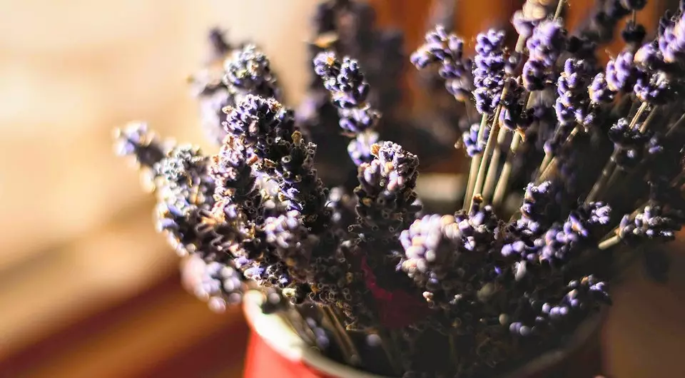 6 rastlin s prijetno aromo, ki jih je mogoče pristati doma