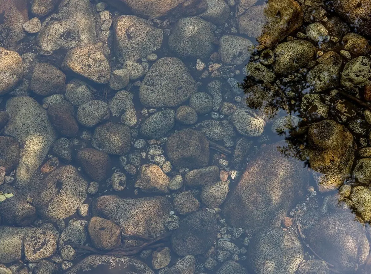 Como você limpa a lagoa no enredo: Visão geral de todos os métodos e dicas úteis 6474_15