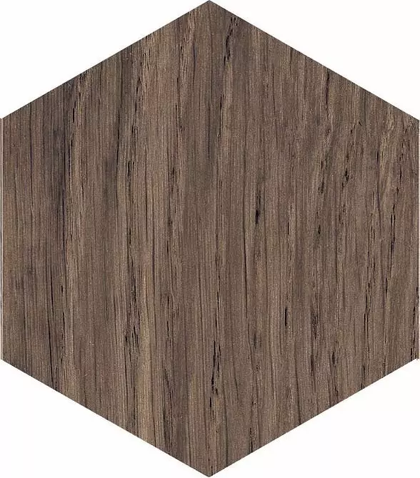 Όμορφη και πρακτική: Χαρακτηριστικά κεραμικών πλακιδίων με απομίμηση ξύλου 6546_16
