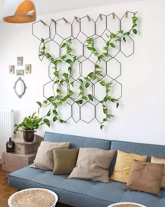 7 lockiga växter som du enkelt kan växa i lägenheten 6583_13