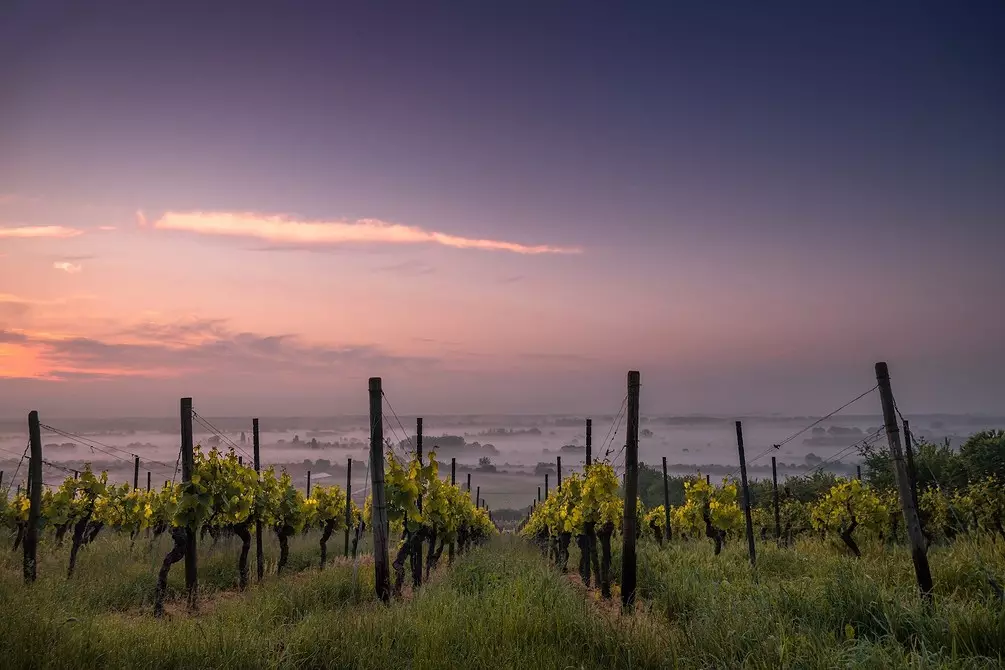 Como facer un encanto para as uvas coas súas propias mans: instrucións detalladas 6588_15