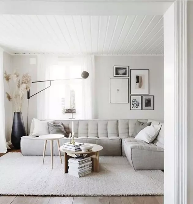 Ofbyldings oer de sofa: 6 regels en tips foar it kiezen fan en lokaasje 6643_43