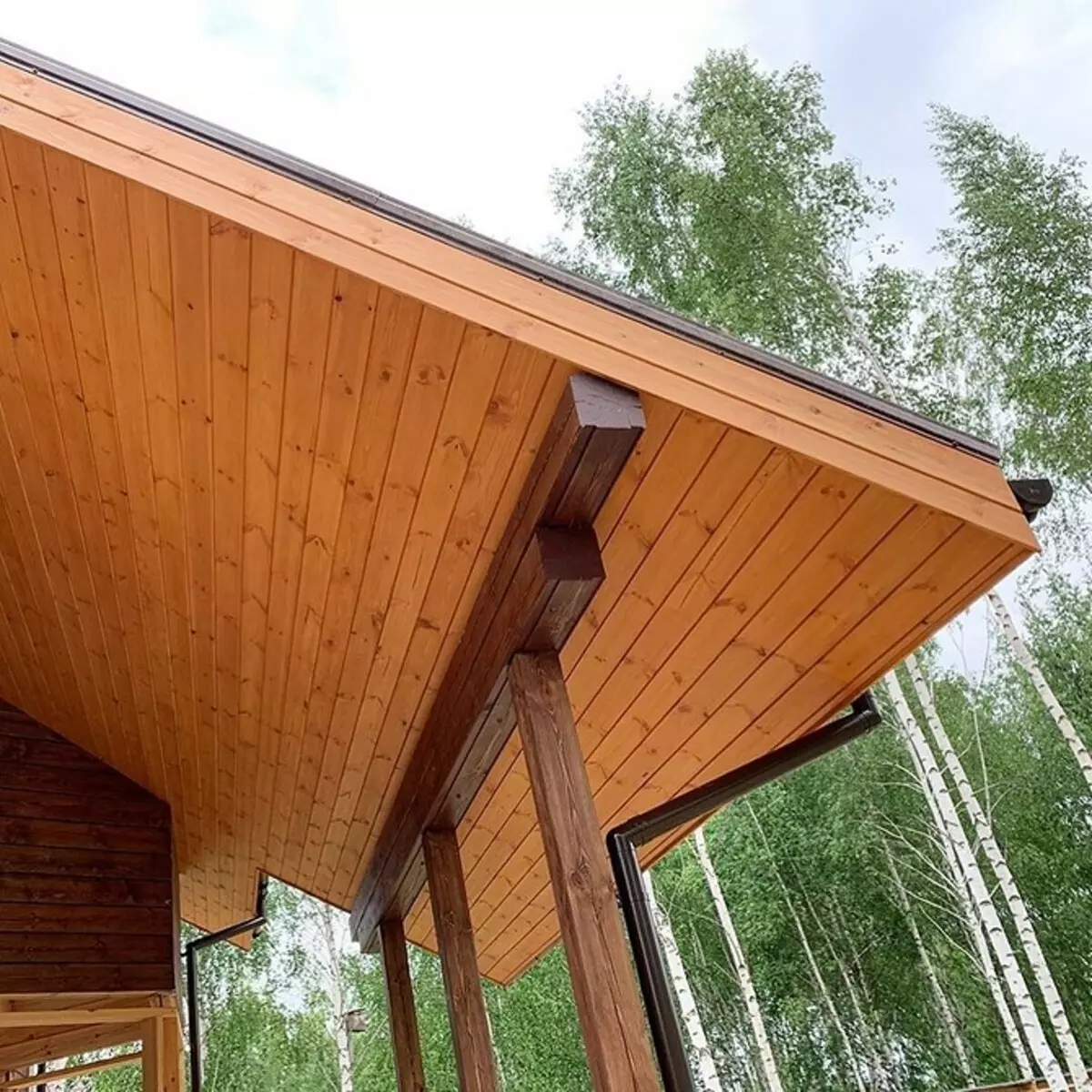 Porch do dreveného domu: Tipy na vytváranie a dizajn (35 fotografií) 6688_69