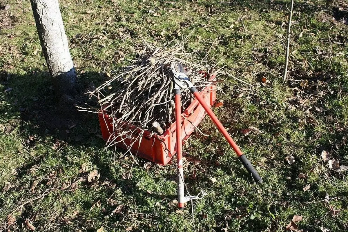 9 Mažai tikėtini reikalai šalies srityje, kuri padės pasiruošti žiemai 6846_8