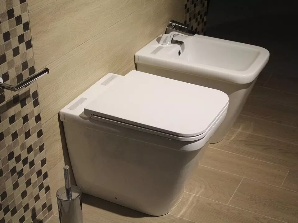 Installation des toilettes avec vos propres mains: Instructions utiles pour différents modèles 7045_18