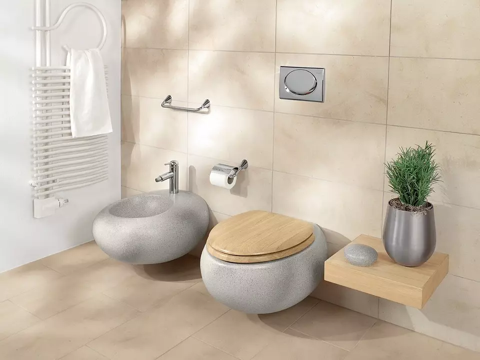 Installeer die toilet met u eie hande: Nuttige instruksies vir verskillende modelle 7045_3