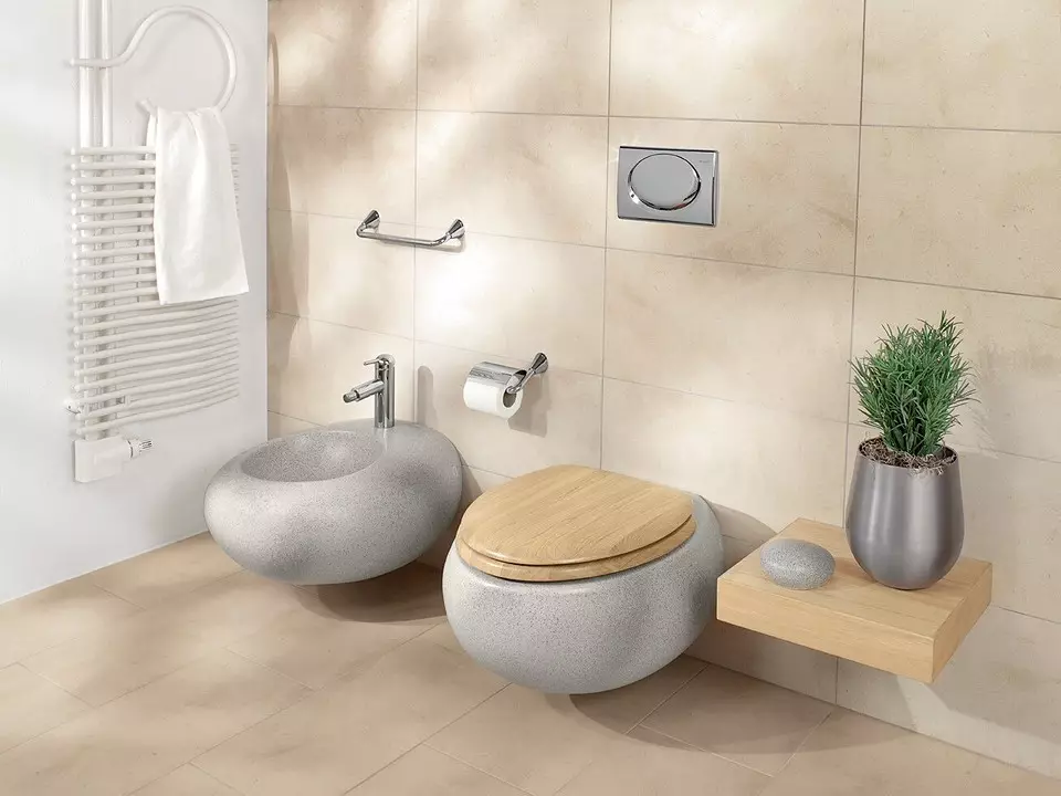 Installation des toilettes avec vos propres mains: Instructions utiles pour différents modèles 7045_3