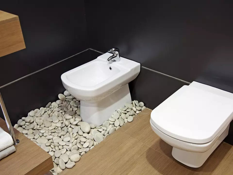 Инсталирање тоалета са властитим рукама: Корисна упутства за различите моделе 7045_4