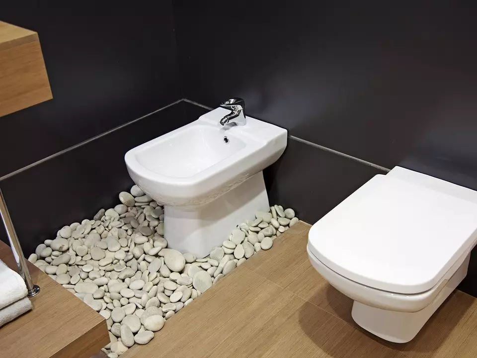 Instalace WC s vlastními rukama: Užitečné pokyny pro různé modely 7045_4