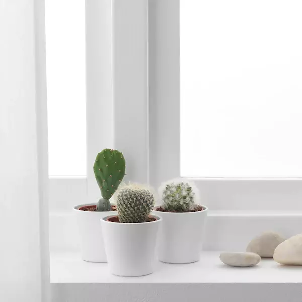 11 produtos útiles de IKEA para aqueles que queiran facer un baño para relaxarse 7050_48