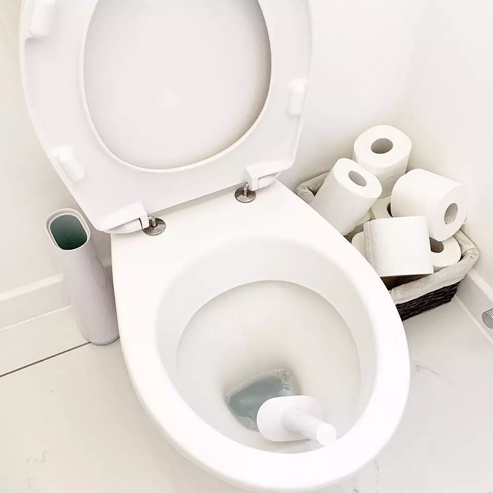 Si të eliminoni bllokimin në tualet: 5 mënyra të provuara 7091_6