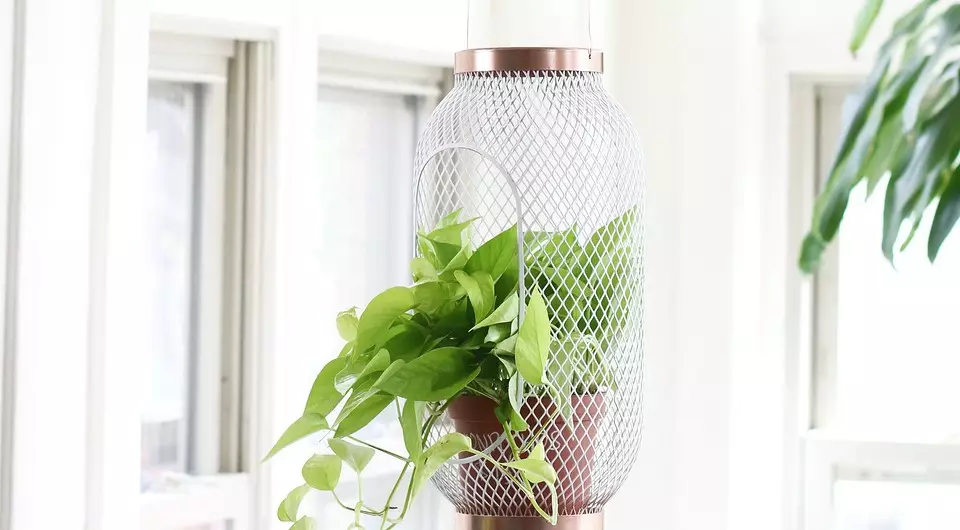 Kapalı bitkiler için IKEA'dan 7 basit ve serin tasarım hack