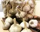 Conas garlic a stóráil sa bhaile: 6 bhealach le stóráil 709_11