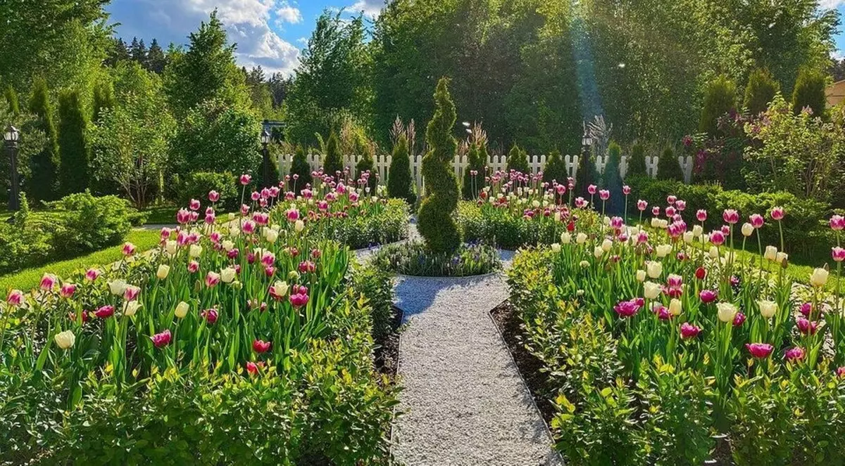 6 nádherných nápadov, ktoré urobia vašu záhradu lepšie a zaujímavejšie