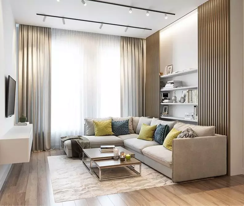 Интериорът на хола в апартамента: дизайнерски идеи за стая от 20 квадратни метра. M и 58 снимки 7163_99