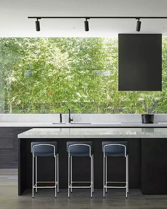 Trends 2020 yn Kitchen Design: Fashion Styles, kleuren en accessoires 7187_54