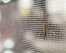 Πώς να επιλέξετε ένα δίχτυ κουνουπιών: Προβολή επισκόπησης και χρήσιμες συμβουλές 7465_10