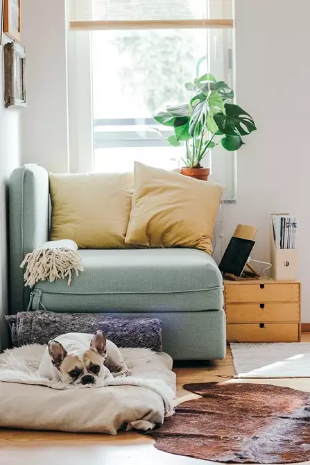 Cómo elegir un sofá en la sala de estar: 6 parámetros importantes 7514_10