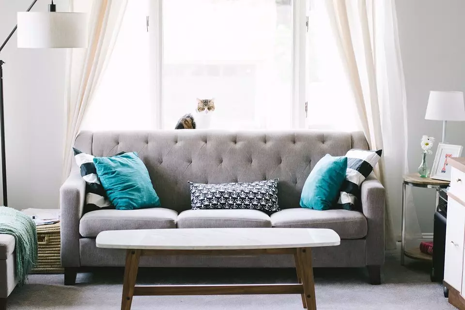 Como escolher um sofá na sala de estar: 6 parâmetros importantes 7514_3