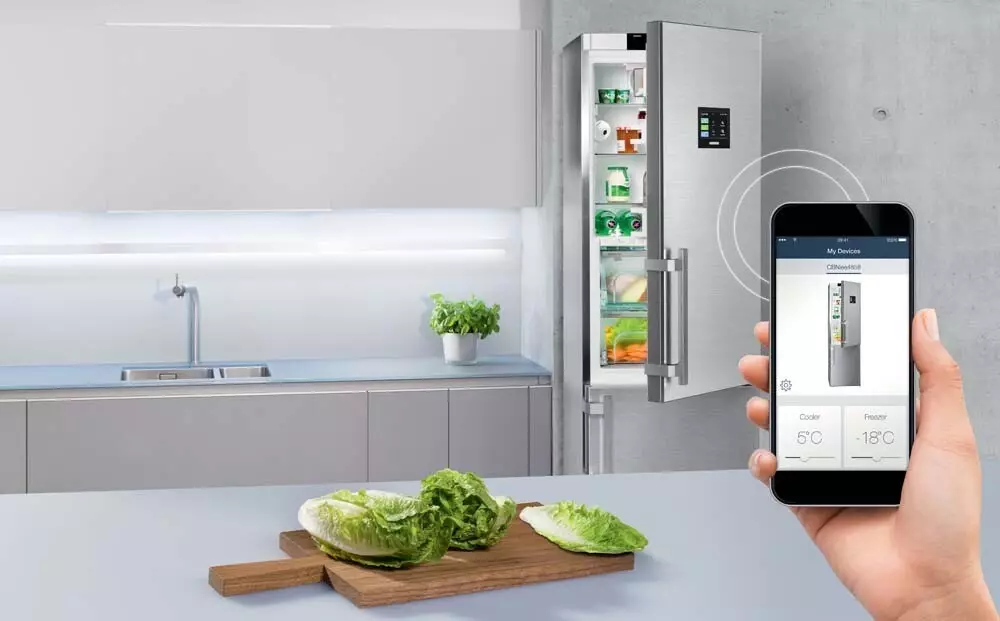 A modern hűtőszekrények új funkciói: az energiatakarékosságról a gyors fagyra 7550_14