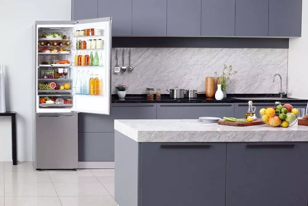 Bag-ong mga gimbuhaton sa mga modernong refrigerator: gikan sa enerhiya nga pagtipig sa paspas nga katugnaw 7550_30