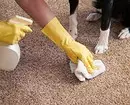 Como limpar o tapete em casa de manchas, lã e poeira 7634_11