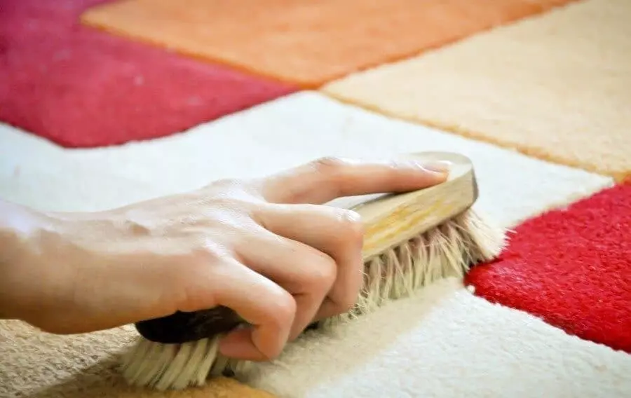 Kā tīrīt paklāju mājās no traipiem, vilnas un putekļiem 7634_7