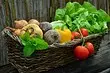 چگونه برای محافظت از زمین های باغ در گرما: 8 شورای حفاظت از محصول مهم