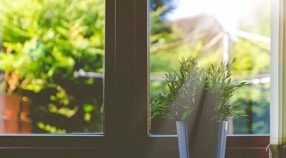 نحوه چسب آفتابگردان در پنجره: دستورالعمل های گام به گام