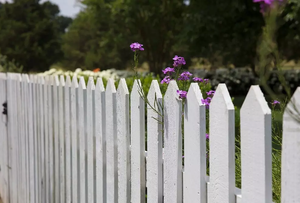 Она што ја прави оградата за Палада: 5 најдобри материјали 7843_37