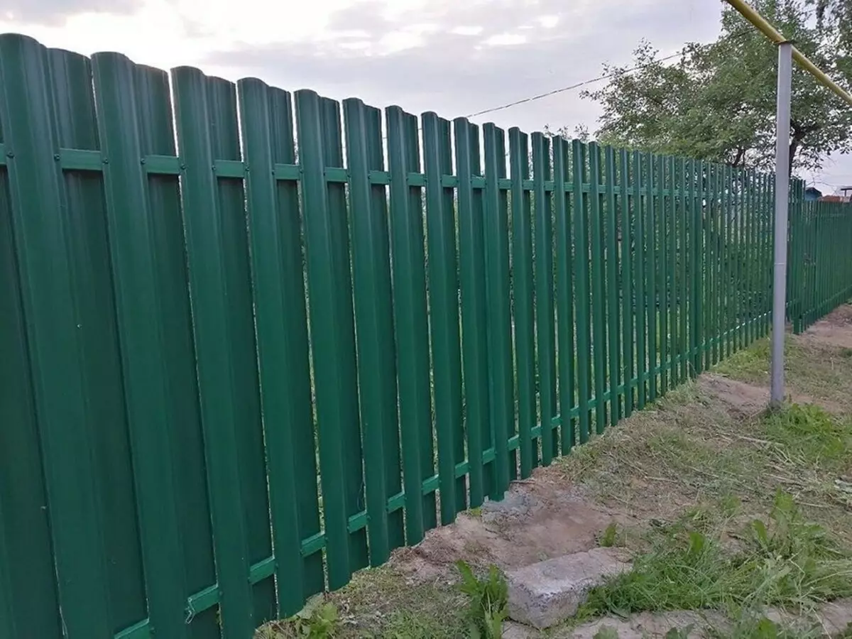 ایک پیرس کے لئے باڑ بناتا ہے: 5 بہترین مواد 7843_52