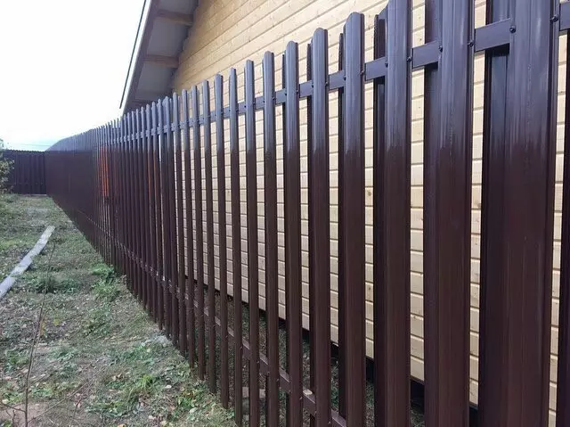 Она што ја прави оградата за Палада: 5 најдобри материјали 7843_54