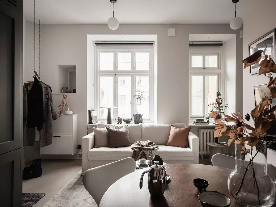 5 Skandinavian Klyshek Apartments, jossa haluat elää 7945_50