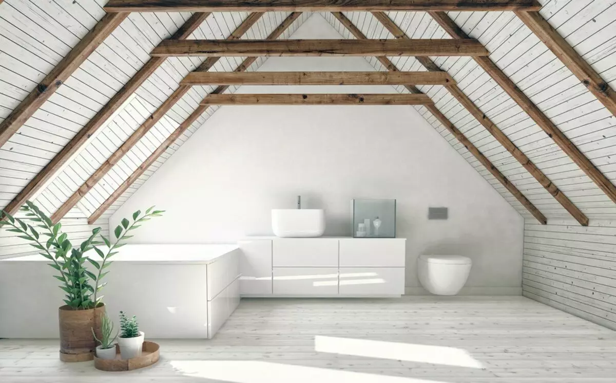 Plafond dans la salle de bain: comment faire le bien 8045_6