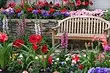 10 dacha planter som blomstrer til de fleste frost